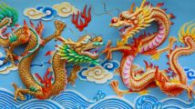 Chinese dragons